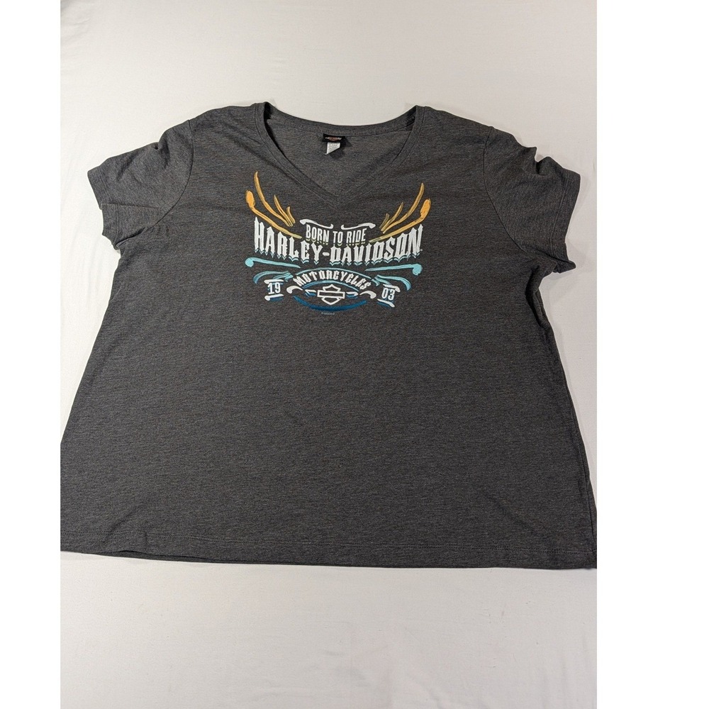Harley-Davidson Womens 3X Gray V-Neck Boise Idaho High Desert Graphic T-Shirt